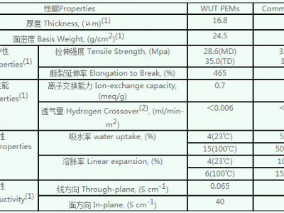 復合膜（Composite PEM）圖片1